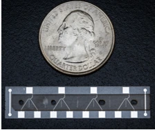 Chronus Health CBC electrochemical sensor strip photographed next to a US quarter for scale